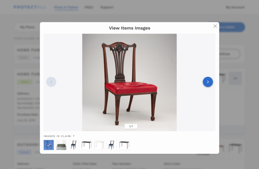 ProtectAll image upload web app portal
