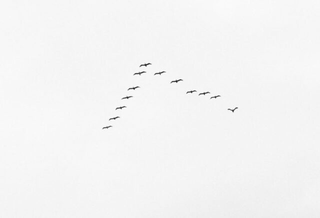 Why we use task-based navigation